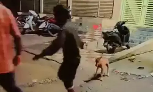 ಸುರಪುರ | ಬೀದಿ ನಾಯಿಗಳನ್ನು ತೆರವುಗೊಳಿಸಿದ ನಗರಸಭೆ ಅಧಿಕಾರಿಗಳ ವಿರುದ್ಧ ಪೊಲೀಸ್ ಠಾಣೆಗೆ ದೂರು