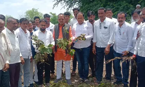 ಬೀದರ್ | ಅತಿವೃಷ್ಟಿ ಪೀಡಿತ ಪ್ರದೇಶದ ಪ್ರತಿ ಎಕರೆಗೆ 25 ಸಾವಿರ ರೂ. ಪರಿಹಾರ ಘೋಷಿಸಲಿ : ಶಾಸಕ ಪ್ರಭು ಚೌವ್ಹಾಣ್‌