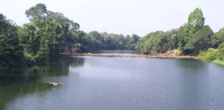 ಪುತ್ತೂರು: ಜಲಮೂಲಗಳಿಗೆ ಬಣ್ಣ ಲೇಪಿತ ವಿಗ್ರಹಗಳ ವಿಸರ್ಜನೆ ನಿಷೇಧ ಪುತ್ತೂರು: ಜಲಮೂಲಗಳಿಗೆ ಬಣ್ಣ ಲೇಪಿತ ವಿಗ್ರಹಗಳ ವಿಸರ್ಜನೆ ನಿಷೇಧ