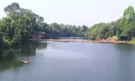 ಪುತ್ತೂರು: ಜಲಮೂಲಗಳಿಗೆ ಬಣ್ಣ ಲೇಪಿತ ವಿಗ್ರಹಗಳ ವಿಸರ್ಜನೆ ನಿಷೇಧ