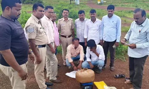 ಬೀದರ್ | ಗಾಂಜಾ ವಶ : ಆರೋಪಿಯ ಬಂಧನ