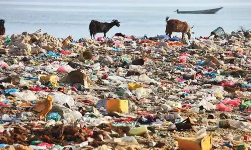 ಎಲ್ಲೆಲ್ಲೂ ಇರುವ ಅವಿನಾಶಿ ಪ್ಲಾಸ್ಟಿಕ್