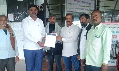 ಔರಾದ್ | ತ್ವರಿತವಾಗಿ ಬೆಳೆ ಪರಿಹಾರ ವಿತರಿಸಲು ಡಿಎಸ್ಎಸ್ ಮನವಿ