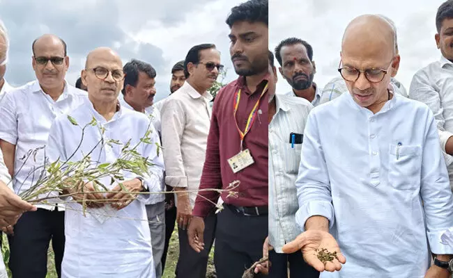 ಸೇಡಂ| ಅತಿವೃಷ್ಟಿ : ಬೆಳೆ ಹಾನಿ ಪ್ರದೇಶಗಳನ್ನು ಪರಿಶೀಲನೆ ನಡೆಸಿದ ಸಚಿವ ಡಾ.ಶರಣಪ್ರಕಾಶ್‌ ಪಾಟೀಲ್‌