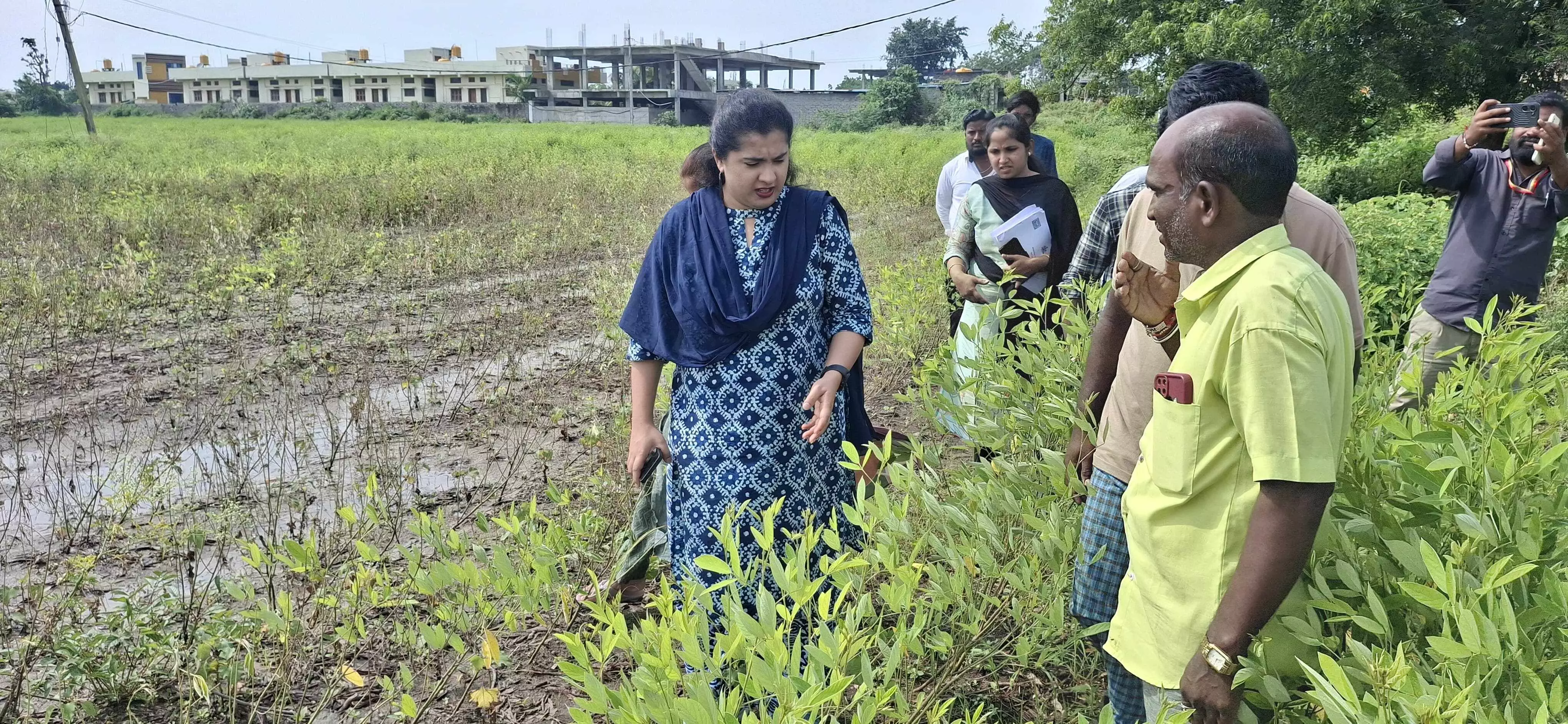 ಕಲಬುರಗಿ, ಶಹಾಬಾದ ಮತ್ತು ಚಿತ್ತಾಪೂರ ತಾಲೂಕಿನ ಪ್ರದೇಶಗಳಲ್ಲಿ ಬೆಳೆ ಹಾನಿ ವೀಕ್ಷಿಸಿದ ಜಿಲ್ಲಾಧಿಕಾರಿ