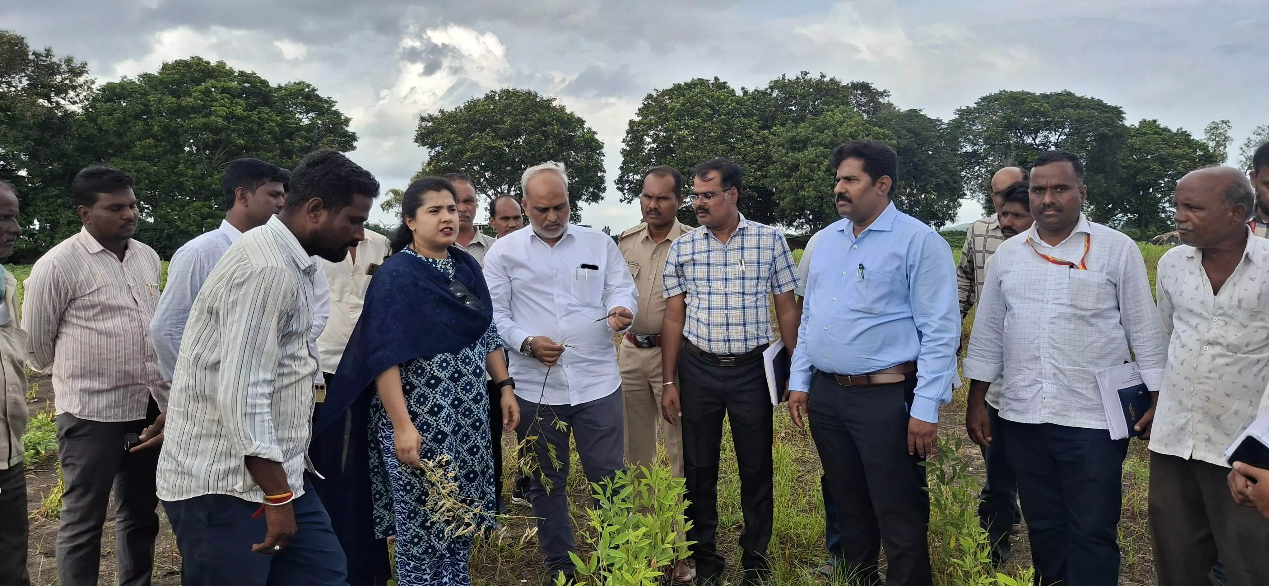ಕಲಬುರಗಿ, ಶಹಾಬಾದ ಮತ್ತು ಚಿತ್ತಾಪೂರ ತಾಲೂಕಿನ ಪ್ರದೇಶಗಳಲ್ಲಿ ಬೆಳೆ ಹಾನಿ ವೀಕ್ಷಿಸಿದ ಜಿಲ್ಲಾಧಿಕಾರಿ