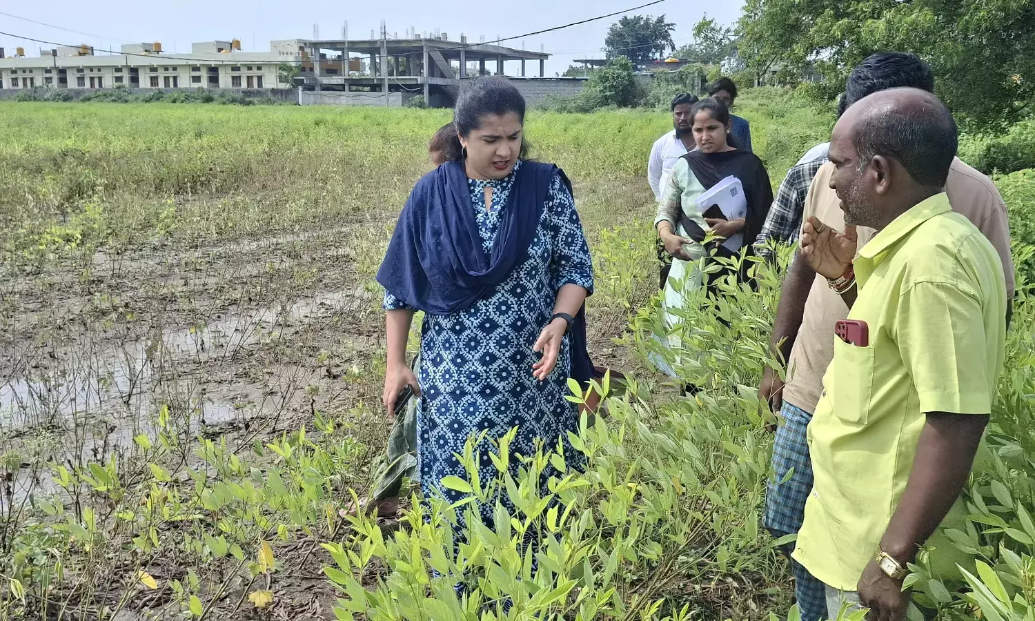 ಕಲಬುರಗಿ, ಶಹಾಬಾದ ಮತ್ತು ಚಿತ್ತಾಪೂರ ತಾಲೂಕಿನ ಪ್ರದೇಶಗಳಲ್ಲಿ ಬೆಳೆ ಹಾನಿ ವೀಕ್ಷಿಸಿದ ಜಿಲ್ಲಾಧಿಕಾರಿ