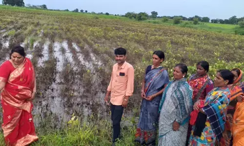 ಆಳಂದ ತಾಲೂಕಿನಲ್ಲಿ ಅಪಾರ ಬೆಳೆ ಹಾನಿ: ಪರಿಹಾರಕ್ಕೆ ಮಹೇಶ್ವರಿ ವಾಲಿ ಆಗ್ರಹ