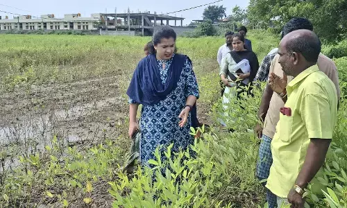 ಕಲಬುರಗಿ, ಶಹಾಬಾದ ಮತ್ತು ಚಿತ್ತಾಪೂರ ತಾಲೂಕಿನ ಪ್ರದೇಶಗಳಲ್ಲಿ ಬೆಳೆ ಹಾನಿ ವೀಕ್ಷಿಸಿದ ಜಿಲ್ಲಾಧಿಕಾರಿ
