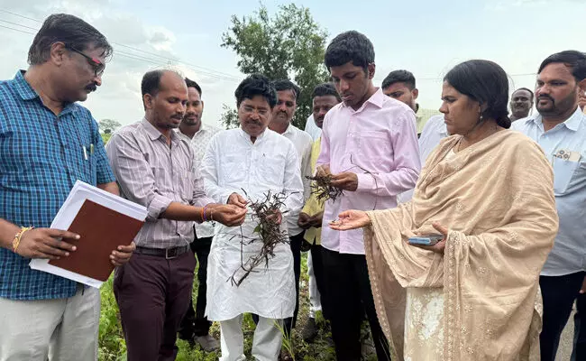 ಕಲಬುರಗಿ | ಕಾಳಗಿ, ಚಿಂಚೋಳಿ ತಾಲ್ಲೂಕಿನಲ್ಲಿ ಬೆಳೆ ಹಾನಿ ಪ್ರದೇಶ ವೀಕ್ಷಿಸಿದ ಸಂಸದ ಸಾಗರ್ ಖಂಡ್ರೆ ಕಲಬುರಗಿ | ಕಾಳಗಿ, ಚಿಂಚೋಳಿ ತಾಲ್ಲೂಕಿನಲ್ಲಿ ಬೆಳೆ ಹಾನಿ ಪ್ರದೇಶ ವೀಕ್ಷಿಸಿದ ಸಂಸದ ಸಾಗರ್ ಖಂಡ್ರೆ