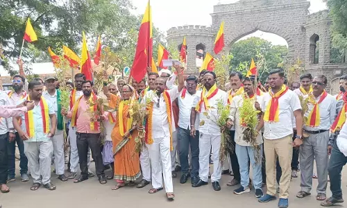 ಕಲಬುರಗಿ | ಬೆಳೆ ಹಾನಿ : ಎಕರೆಗೆ 20 ಸಾವಿರ ರೂ. ಪರಿಹಾರ ನೀಡಲು ವೀರ ಕನ್ನಡಿಗರ ಸೇನೆ ಆಗ್ರಹ