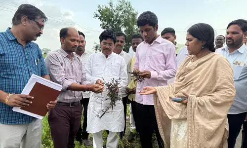 ಕಲಬುರಗಿ | ಕಾಳಗಿ, ಚಿಂಚೋಳಿ ತಾಲ್ಲೂಕಿನಲ್ಲಿ ಬೆಳೆ ಹಾನಿ ಪ್ರದೇಶ ವೀಕ್ಷಿಸಿದ ಸಂಸದ ಸಾಗರ್ ಖಂಡ್ರೆ