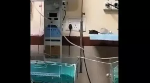 ಮಧ್ಯಪ್ರದೇಶ: ಇಲಿ ಕಡಿತದಿಂದ ಮತ್ತೊಂದು ಶಿಶು ಮೃತ್ಯು