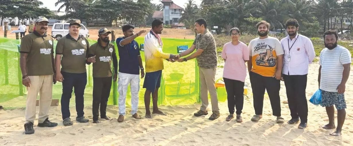 ಬೀಚ್‌ಗಳಲ್ಲಿ ಕಡಲಾಮೆಗಳ ಸಂರಕ್ಷಣೆಗೆ ಒತ್ತು