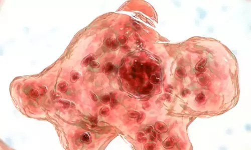 ಕೇರಳ: ಮೆದುಳು ಸೋಂಕಿಗೆ ಮತ್ತೋರ್ವ ಬಲಿ