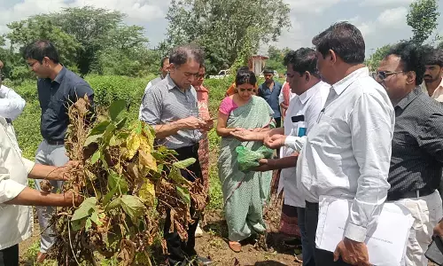ಬೀದರ್ | ಅತಿವೃಷ್ಠಿಯಿಂದ ಹಾನಿಯಾದ ಪ್ರದೇಶಗಳಿಗೆ ಮುನೀಶ್ ಮೌದ್ಗಿಲ್ ಭೇಟಿ, ಪರಿಶೀಲನೆ