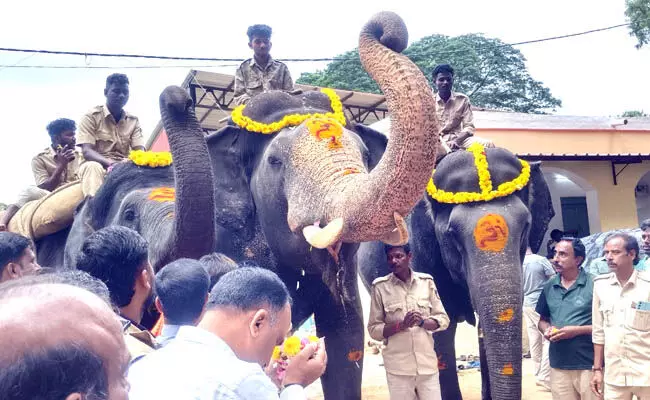 ಜಂಬೂ ಸವಾರಿಗೆ ಸಜ್ಜುಗೊಳ್ಳುತ್ತಿರುವ ಕ್ಯಾಪ್ಟನ್ ಅಭಿಮನ್ಯು ನೇತೃತ್ವದ ಗಜಪಡೆ ಜಂಬೂ ಸವಾರಿಗೆ ಸಜ್ಜುಗೊಳ್ಳುತ್ತಿರುವ ಕ್ಯಾಪ್ಟನ್ ಅಭಿಮನ್ಯು ನೇತೃತ್ವದ ಗಜಪಡೆ