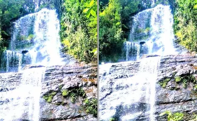 ಹಚ್ಚ ಹಸಿರು ದಟ್ಟ ಕಾನನದ ನಡುವೆ ಧುಮ್ಮಿಕ್ಕುವ ಶಂಕರ್ ಫಾಲ್ಸ್