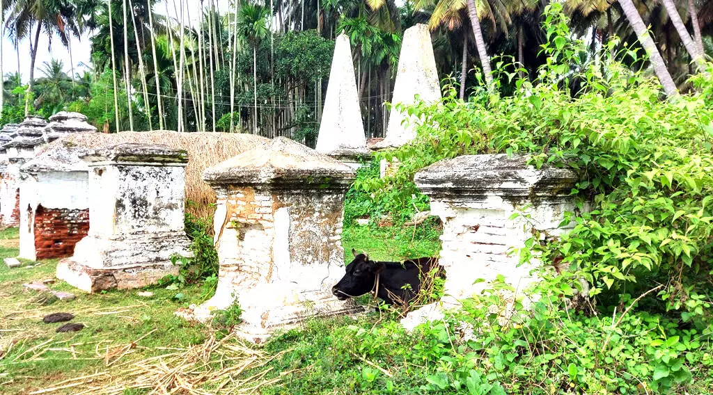 ಫ್ರೆಂಚ್ ಸೈನಿಕರ ಸಮಾಧಿಗಳಿಗೆ ಸಂರಕ್ಷಣೆ ಕೊರತೆ