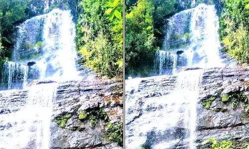 ಹಚ್ಚ ಹಸಿರು ದಟ್ಟ ಕಾನನದ ನಡುವೆ ಧುಮ್ಮಿಕ್ಕುವ ಶಂಕರ್ ಫಾಲ್ಸ್