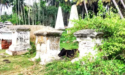 ಫ್ರೆಂಚ್ ಸೈನಿಕರ ಸಮಾಧಿಗಳಿಗೆ ಸಂರಕ್ಷಣೆ ಕೊರತೆ
