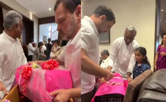 ಖರ್ಗೆಯವರ ಮೊಮ್ಮಗಳಿಗೆ ಹುಟ್ಟುಹಬ್ಬದಂದು ರಾಹುಲ್ ಗಾಂಧಿಯಿಂದ ಅಚ್ಚರಿ ಕೊಡುಗೆ!