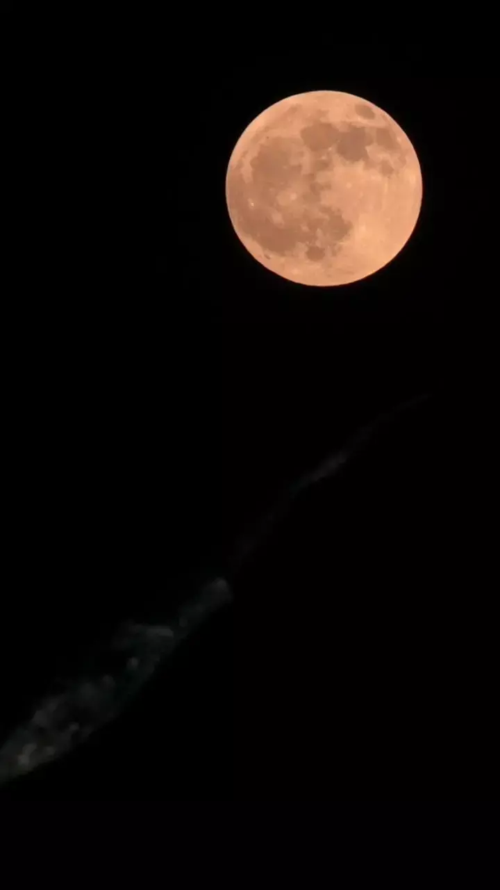 ಚಂದ್ರಗ್ರಹಣ | ದೇಶಾದ್ಯಂತ ‘ರಕ್ತ ಚಂದ್ರ’ದ ವಿಸ್ಮಯ ದೃಶ್ಯ ಚಂದ್ರಗ್ರಹಣ | ದೇಶಾದ್ಯಂತ ‘ರಕ್ತ ಚಂದ್ರ’ದ ವಿಸ್ಮಯ ದೃಶ್ಯ