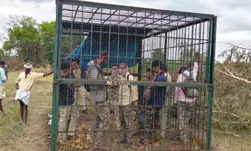 ಚಾಮರಾಜನಗರ | ಹುಲಿ ಬೋನ್‌ನಲ್ಲಿ ಅರಣ್ಯ ಸಿಬ್ಬಂದಿಗಳ ದಿಗ್ಬಂಧನ ಪ್ರಕರಣ; ಐವರ ವಿರುದ್ಧ ಎಫ್‌ಐಆರ್