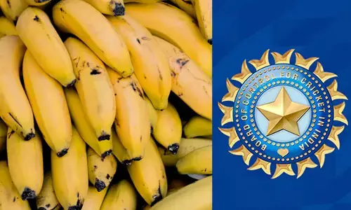 ಬಾಳೆ ಹಣ್ಣುಗಳಿಗೆ 35 ಲಕ್ಷ ರೂ. ಖರ್ಚು!