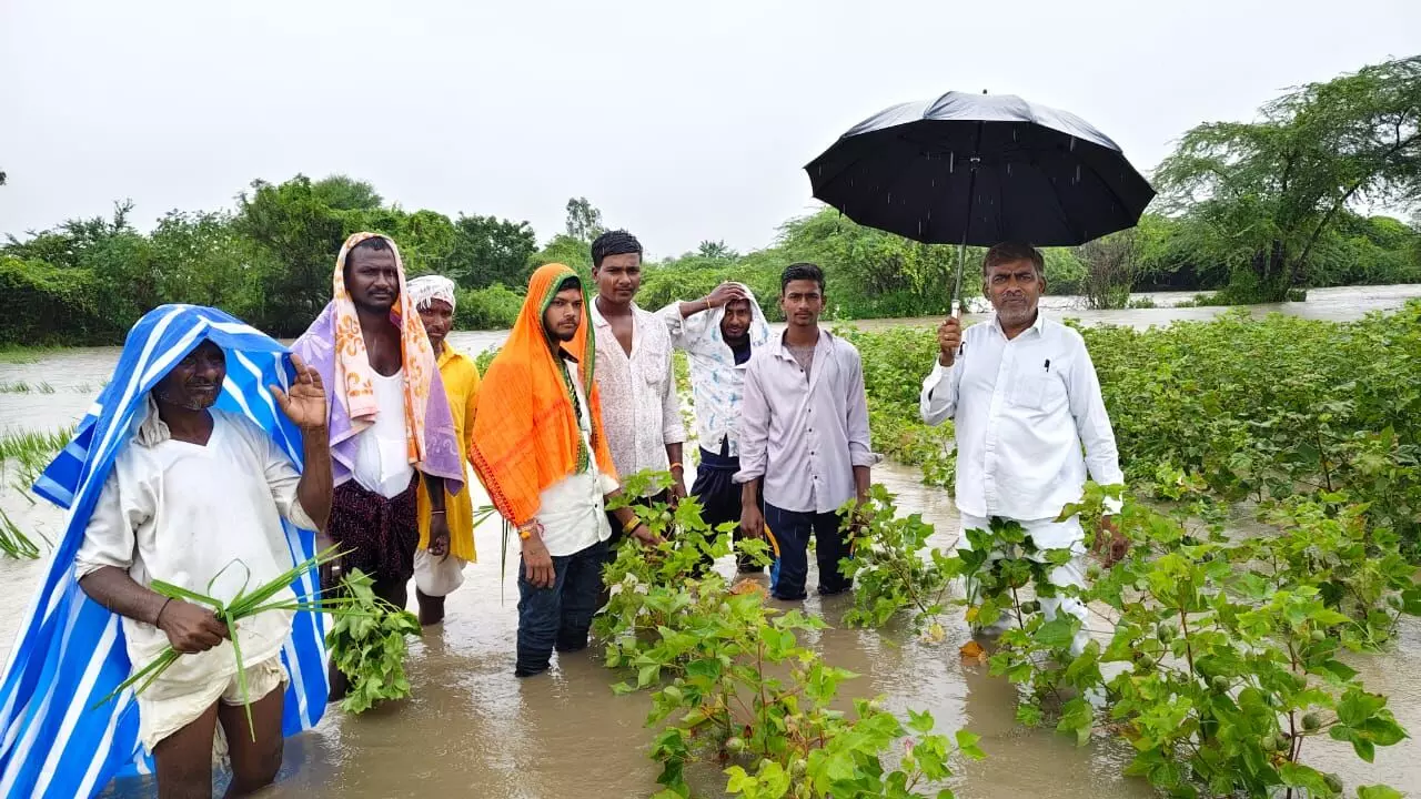 ಯಾದಗಿರಿ | ಧಾರಕಾರ ಮಳೆ : ಸೂಕ್ತ ಪರಿಹಾರಕ್ಕೆ ಉಮೇಶ ಕೆ.ಮುದ್ನಾಳ ಆಗ್ರಹ