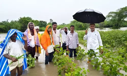 ಯಾದಗಿರಿ | ಧಾರಕಾರ ಮಳೆ : ಸೂಕ್ತ ಪರಿಹಾರಕ್ಕೆ ಉಮೇಶ ಕೆ.ಮುದ್ನಾಳ ಆಗ್ರಹ