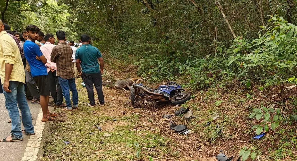 ಕುಂದಾಪುರ| ಚಲಿಸುತ್ತಿದ್ದ ಬೈಕ್ ಮೇಲೆ ಹಾರಿದ ಕಡವೆ: ಸವಾರ ಮೃತ್ಯು, ಸಹಸವಾರ ಗಂಭೀರ ಕುಂದಾಪುರ| ಚಲಿಸುತ್ತಿದ್ದ ಬೈಕ್ ಮೇಲೆ ಹಾರಿದ ಕಡವೆ: ಸವಾರ ಮೃತ್ಯು, ಸಹಸವಾರ ಗಂಭೀರ