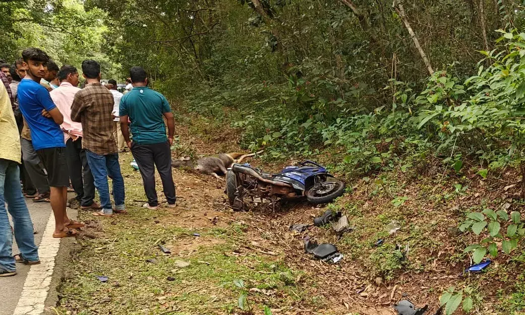 ಕುಂದಾಪುರ| ಚಲಿಸುತ್ತಿದ್ದ ಬೈಕ್ ಮೇಲೆ ಹಾರಿದ ಕಡವೆ: ಸವಾರ ಮೃತ್ಯು, ಸಹಸವಾರ ಗಂಭೀರ