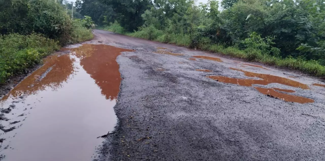 ಬೀದರ್ | ಸಿಂಧನಕೇರಾ ಗ್ರಾಮದ ರಸ್ತೆ ದುರಸ್ಥಿಗೆ ಗ್ರಾಮಸ್ಥರಿಂದ ಒತ್ತಾಯ