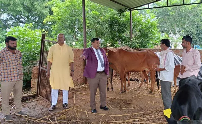 ಔರಾದ್ | ಅಮರೇಶ್ವರ್ ಗೋ ಶಾಲೆಯಲ್ಲಿನ ಅವ್ಯವಸ್ಥೆ ಕಂಡು ಸಿಬ್ಬಂದಿಗಳನ್ನು ತರಾಟೆಗೆ ತೆಗೆದುಕೊಂಡ ನ್ಯಾಯಾಧೀಶರು