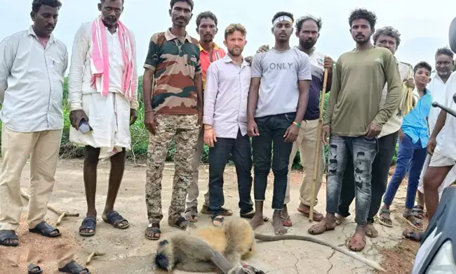 ರಾಯಚೂರು | ಸಾರ್ವಜನಿಕರ ಮೇಲೆ ದಾಳಿ ಮಾಡುತ್ತಿದ್ದ ಮಂಗನ ಸೆರೆ ಹಿಡಿದ ಅರಣ್ಯಾಧಿಕಾರಿಗಳು