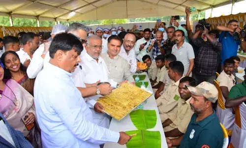 ಮೈಸೂರು : ದಸರಾ ಆನೆಗಳ ಮಾವುತರು, ಕಾವಾಡಿಗರಿಗೆ ಜಿಲ್ಲಾಡಳಿತದಿಂದ ವಿಶೇಷ ಉಪಹಾರ