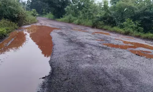 ಬೀದರ್ | ಸಿಂಧನಕೇರಾ ಗ್ರಾಮದ ರಸ್ತೆ ದುರಸ್ಥಿಗೆ ಗ್ರಾಮಸ್ಥರಿಂದ ಒತ್ತಾಯ