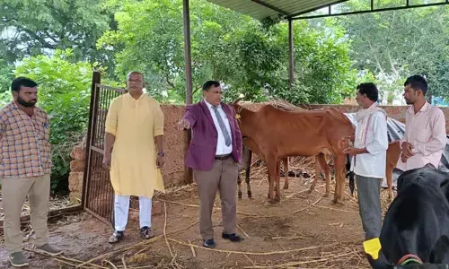 ಔರಾದ್ | ಅಮರೇಶ್ವರ್ ಗೋ ಶಾಲೆಯಲ್ಲಿನ ಅವ್ಯವಸ್ಥೆ ಕಂಡು ಸಿಬ್ಬಂದಿಗಳನ್ನು ತರಾಟೆಗೆ ತೆಗೆದುಕೊಂಡ ನ್ಯಾಯಾಧೀಶರು