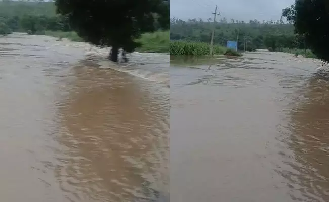 ಕಲಬುರಗಿ | ಆಳಂದ-ಭೂಸನೂರ ಸಂಪರ್ಕಿಸುವ ಸೇತುವೆ ಜಲಾವೃತ