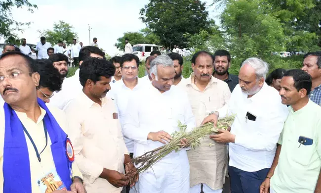 ಕಲಬುರಗಿ | ಬೆಳೆ ಹಾನಿ ಪರಿಶೀಲನೆ ನಡೆಸಿದ ಜಿಲ್ಲಾ ಉಸ್ತುವಾರಿ ಸಚಿವ ಪ್ರಿಯಾಂಕ್ ಖರ್ಗೆ
