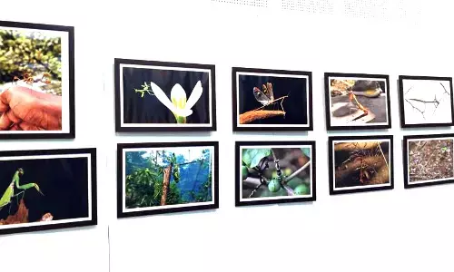 ನೋಡುಗರ ಗಮನ ಸೆಳೆದ ‘ಬಿಸಿಲು ಕುದುರೆ’ ಛಾಯಾಚಿತ್ರ ಪ್ರದರ್ಶನ