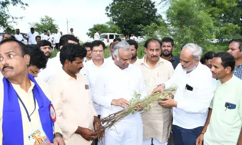 ಕಲಬುರಗಿ | ಬೆಳೆ ಹಾನಿ ಪರಿಶೀಲನೆ ನಡೆಸಿದ ಜಿಲ್ಲಾ ಉಸ್ತುವಾರಿ ಸಚಿವ ಪ್ರಿಯಾಂಕ್ ಖರ್ಗೆ