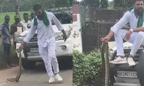 ಶಿವಮೊಗ್ಗ | ಹಾವುಗಳನ್ನು ಹಿಡಿದು ವಿಕೃತಿ ಮೆರೆದ ಆರೋಪ : ಪ್ರಕರಣ ದಾಖಲು