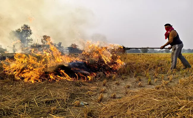 ಭತ್ತದ ಕೂಳೆ ಸುಡುತ್ತಿರುವ ರೈತರನ್ನು ಏಕೆ ಬಂಧಿಸಬಾರದು? : ಪಂಜಾಬ್ ಸರಕಾರಕ್ಕೆ ಸುಪ್ರೀಂ ಕೋರ್ಟ್ ಪ್ರಶ್ನೆ ಭತ್ತದ ಕೂಳೆ ಸುಡುತ್ತಿರುವ ರೈತರನ್ನು ಏಕೆ ಬಂಧಿಸಬಾರದು? : ಪಂಜಾಬ್ ಸರಕಾರಕ್ಕೆ ಸುಪ್ರೀಂ ಕೋರ್ಟ್ ಪ್ರಶ್ನೆ