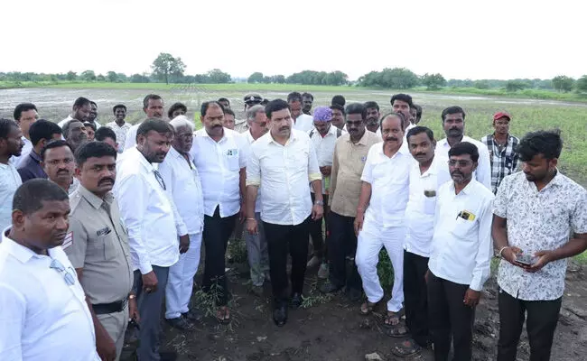 ಅತಿವೃಷ್ಟಿಯಿಂದ ಬೆಳೆ ಹಾನಿಗೊಳಗಾದ ಪ್ರದೇಶಗಳಿಗೆ ಬಿಜೆಪಿ ರಾಜ್ಯಾಧ್ಯಕ್ಷ ವಿಜಯೇಂದ್ರ ಭೇಟಿ : ಪರಿಶೀಲನೆ