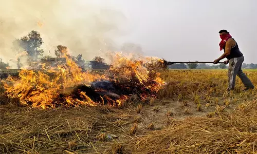 ಭತ್ತದ ಕೂಳೆ ಸುಡುತ್ತಿರುವ ರೈತರನ್ನು ಏಕೆ ಬಂಧಿಸಬಾರದು? : ಪಂಜಾಬ್ ಸರಕಾರಕ್ಕೆ ಸುಪ್ರೀಂ ಕೋರ್ಟ್ ಪ್ರಶ್ನೆ