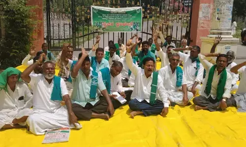 ರಾಯಚೂರು | ಬೆಳೆ ಹಾನಿ ಸಮಸ್ಯೆಗಳಿಗೆ ಸ್ಪಂದಿಸದ ಜಿಲ್ಲಾ ಉಸ್ತುವಾರಿ ಸಚಿವ ಶರಣಪ್ರಕಾಶ್‌ ಪಾಟೀಲ್‌ ವಿರುದ್ಧ ರೈತ ಸಂಘಟನೆಯಿಂದ ಪ್ರತಿಭಟನೆ