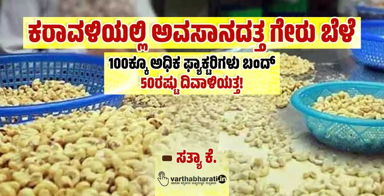 ಕರಾವಳಿಯಲ್ಲಿ ಅವಸಾನದತ್ತ ಗೇರು ಬೆಳೆ