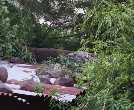 ಚಡಚಣ ಎಸ್‌ಬಿಐ ಬ್ಯಾಂಕ್ ದರೋಡೆ ಪ್ರಕರಣ | 41.4 ಲಕ್ಷ ರೂ. ನಗದು, 6.54 ಕೆ.ಜಿ. ಚಿನ್ನದ ಬ್ಯಾಗ್‌ ಪತ್ತೆ